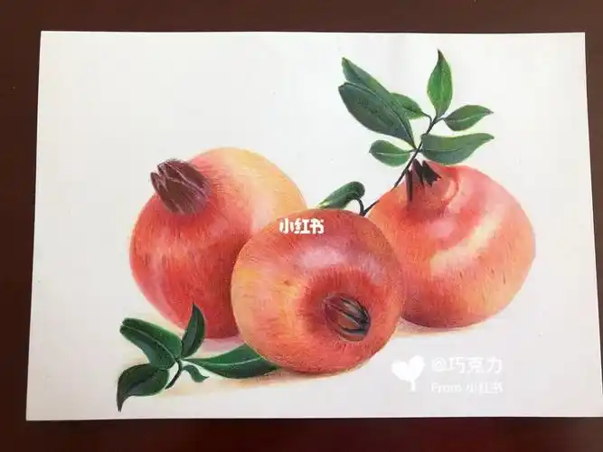 彩铅水果之石榴附起型及过程图