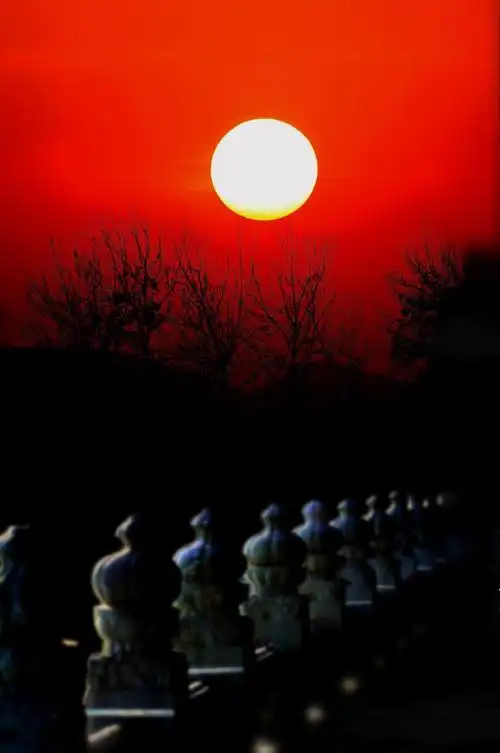 多少的情爱 一片夕阳红