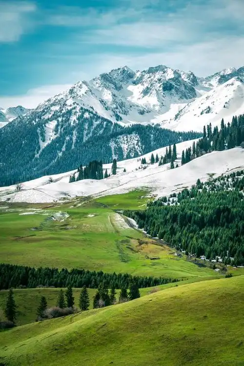 700_1050竖版 竖屏