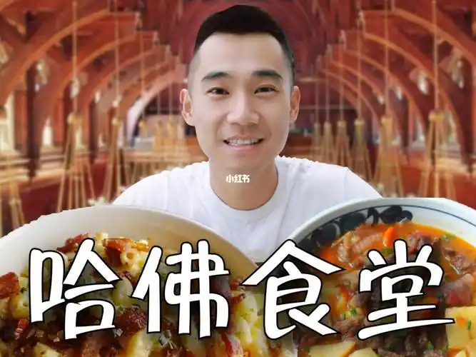 我被哈佛大学录取了但是是食堂