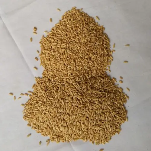 厂家低温烘焙五谷杂粮现磨豆浆红豆口味原料包5