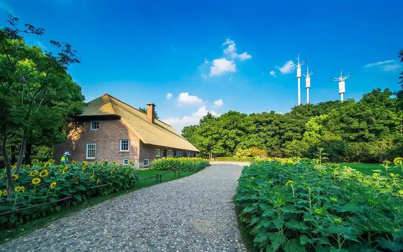 阳光田园风光高清桌面壁纸-风景壁纸-手机壁纸下载-美桌网