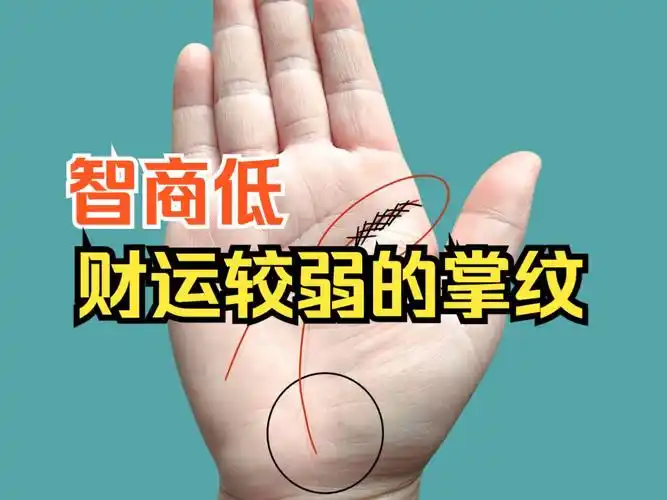 财运较弱,智商不高的掌纹