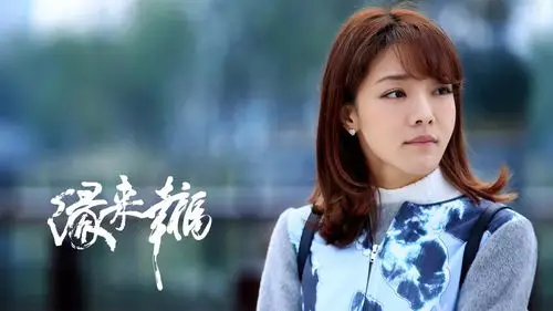 邓家佳缘来幸福剧照海报图片