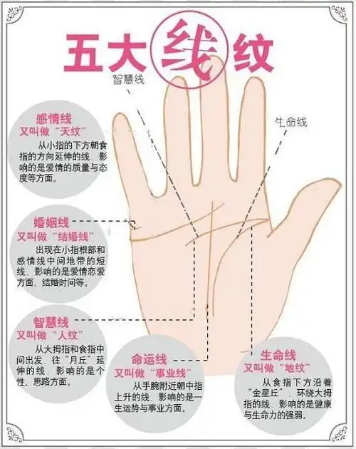 手相图解大全女右手感情线,女人右手掌纹图解