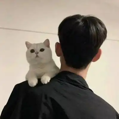 氛围感男生背影头像图片