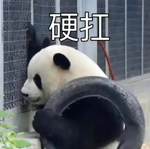 超搞笑沙雕的表情包