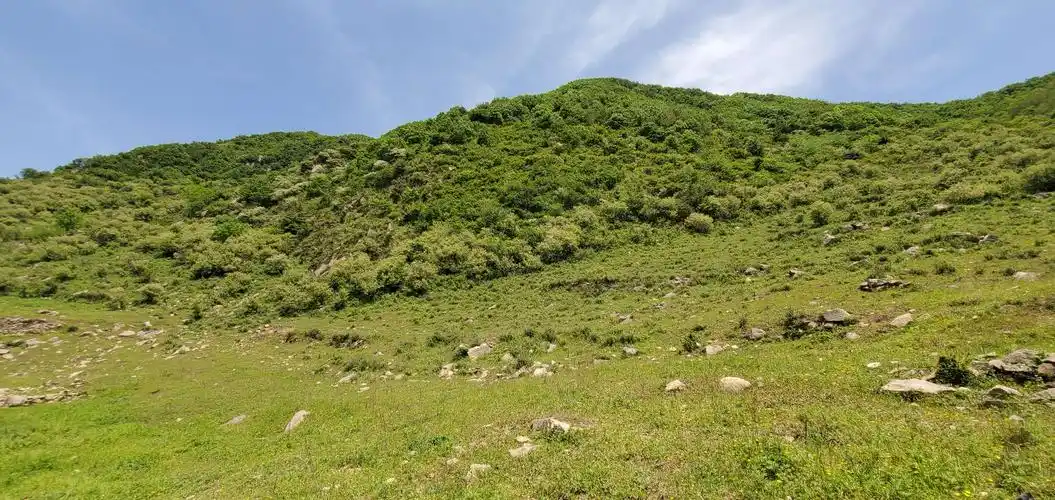 蓝田流峪草甸穿越(流峪寺村——李家坪村)