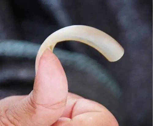 大叔心血来潮留长指甲,十厘米想破世界纪录