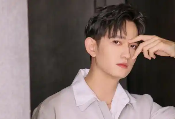 红得快凉得更快的8位男星有人无新作有人不愿随波逐流