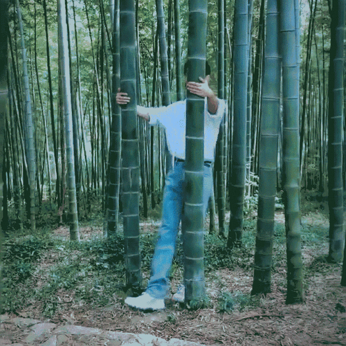 肖战##青年演员肖战##肖战竹林大片花絮