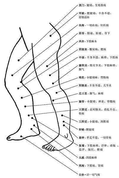 herb的相册-穴位的作用