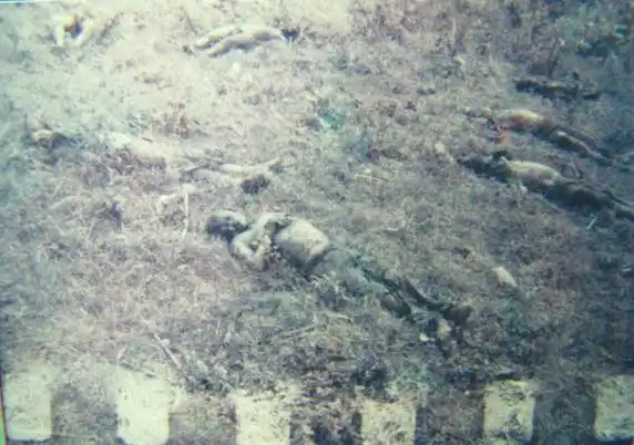 中华军魂第一敢死队珍贵照片