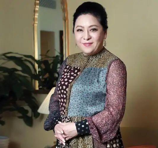 陈岚个人资料简介 陈岚最漂亮的一张照片-双佳迪