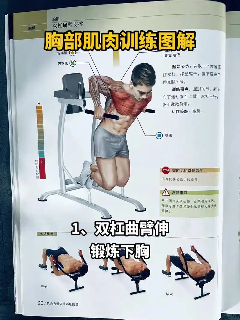 胸部训练图解,学起来别再瞎练了,#胸肌训练#健身#运动#健身 - 抖音