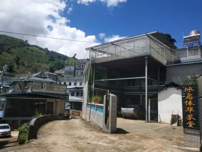 冰岛老寨寻茶记