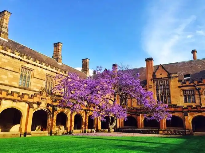 澳洲留学之悉尼大学商学院