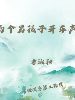 两个男孩子开车声音