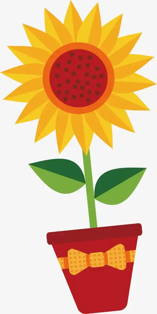 卡通向日葵