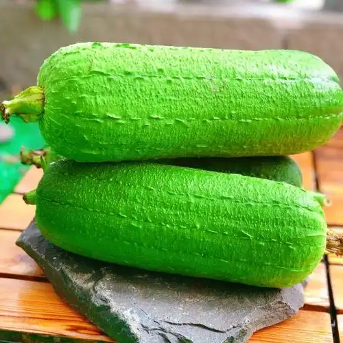 com)茄果瓜类 肉丝瓜 新鲜蔬菜台湾短棒肉丝瓜农家