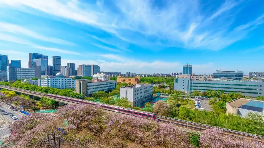 亦庄的泡桐大道.