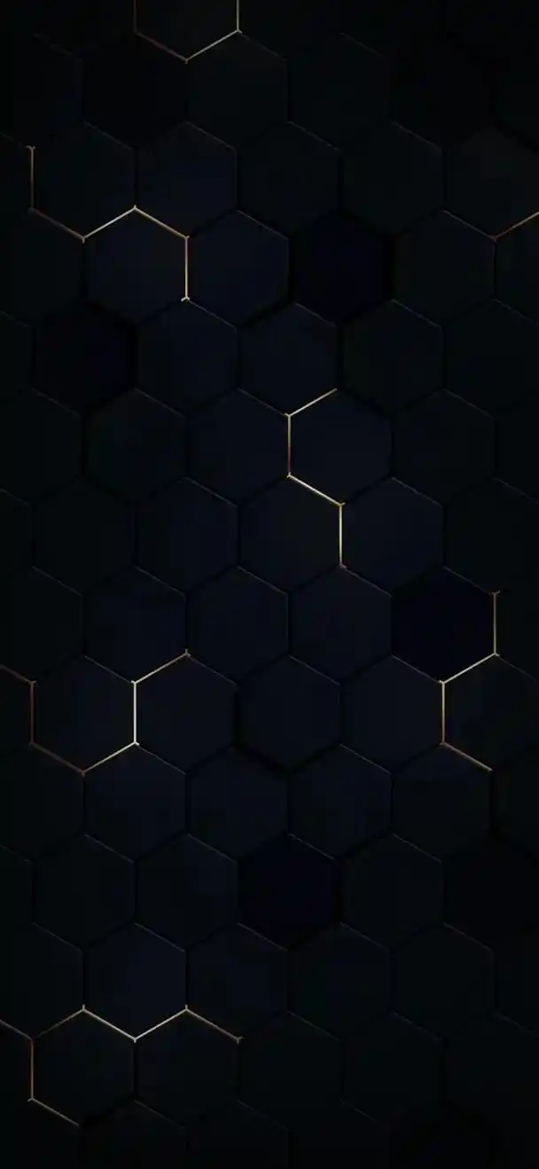 vol 224 精选无水印高清手机壁纸(黑色系列)