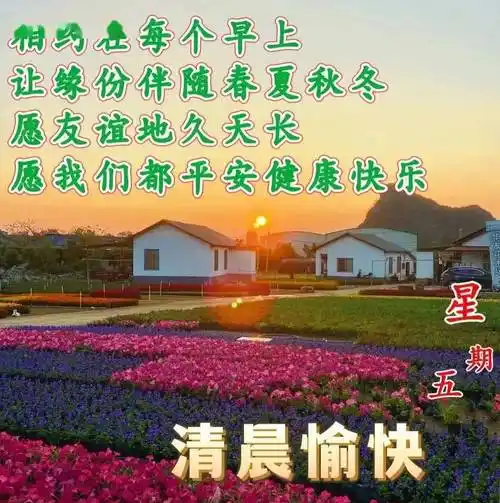 周三早上好,精选温馨早安祝福图片带字冬日问候语录,群发暖心的问候