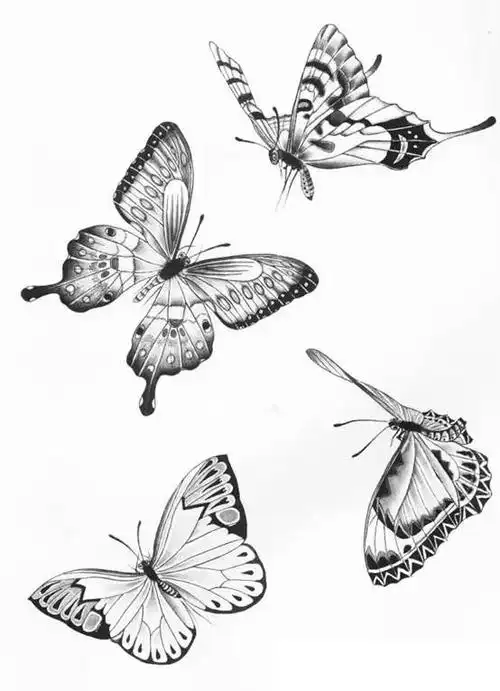 工笔蝴蝶线描画谱蝴蝶色彩绚丽,也被称为"飞舞的鲜花",为历代文人墨客