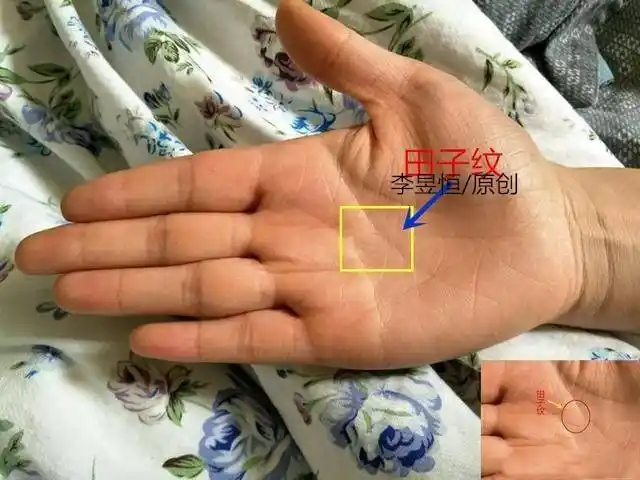 帝王手相奇闻 金房子手相