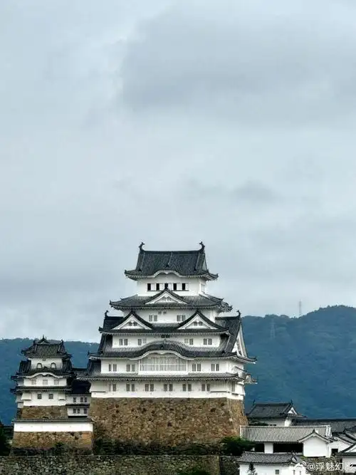 690_920 竖版 竖屏