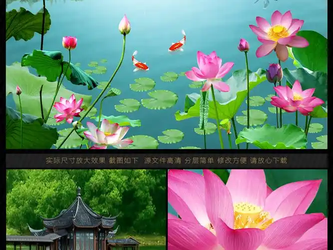 33mb)_山水花鸟玄关图大全-我图网