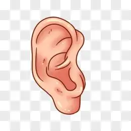 卡通保护耳朵免抠元素pngpsd手绘简易五官素材耳朵元素pngpsd手绘卡通
