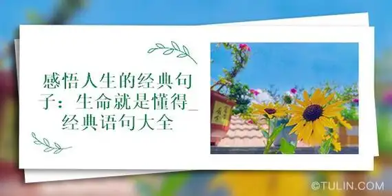 感悟人生的经典句子:生命就是懂得_经典语句大全