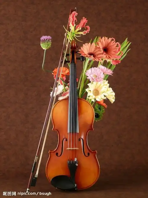 小提琴与花图片