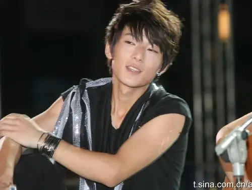 史上最强2010快男12强明星脸!