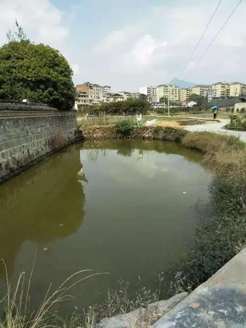 崇实书院门口半月形池塘