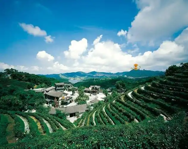 三洲茶园,名字听起来虽然有点奇怪.但是里面挺漂亮的.