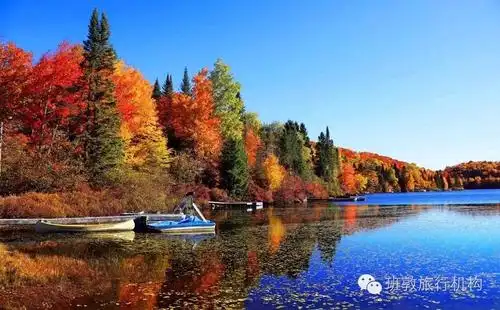 跟着老袁走加拿大最美枫景二