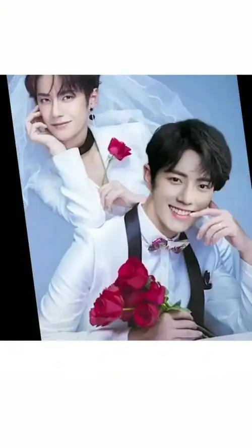 肖战,王一博,博君一肖