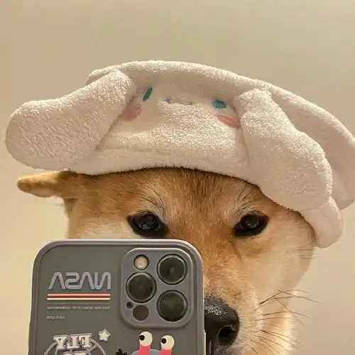 有没有那种特别可爱的狗狗的照片可以做头像那种的