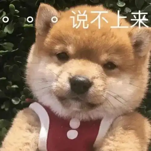 萌宠gif汪星人gif说不上来gif不想说话gif搞怪gif逗gif