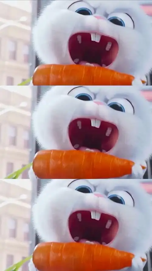 爱宠大机密里最喜欢这只兔子了,搞笑耍贱,又霸道又萌!