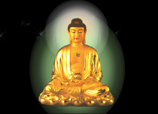 因果报应真实不虚 - 小仙 - 美丽的莲花仙子