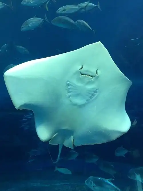 【创世纪】三界的"制服诱惑"【下(1.1)】