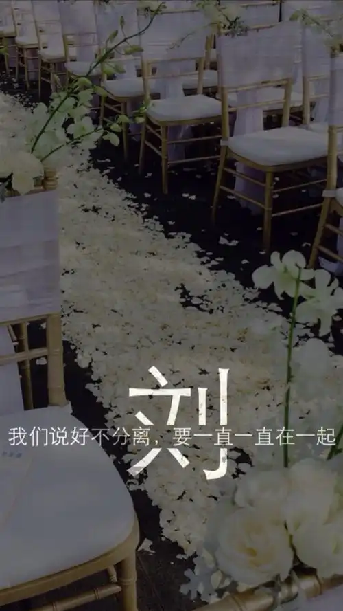 创意刘姓百家姓