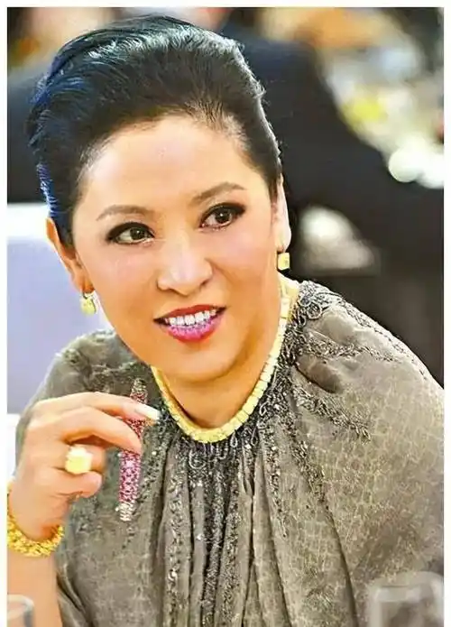 "彪悍向太"陈岚:手撕小林青霞打醒关之琳,豪掷12亿娶儿媳郭美女