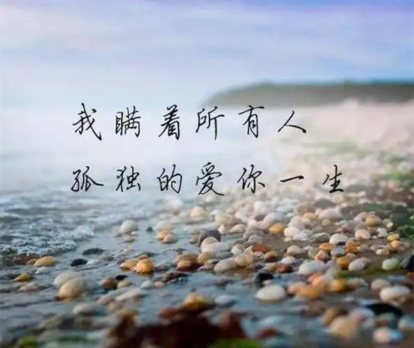 爱一个人,一旦入心了,一生都无法忘记