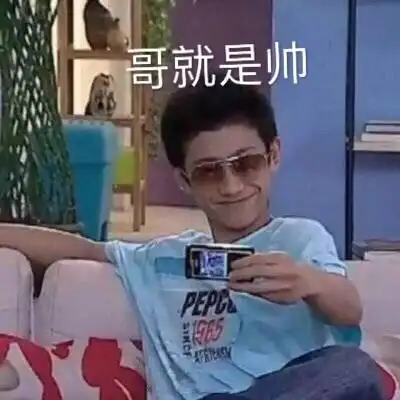 哥就是帅(家有儿女刘星表情包)_刘星_家有_儿女_就是表情