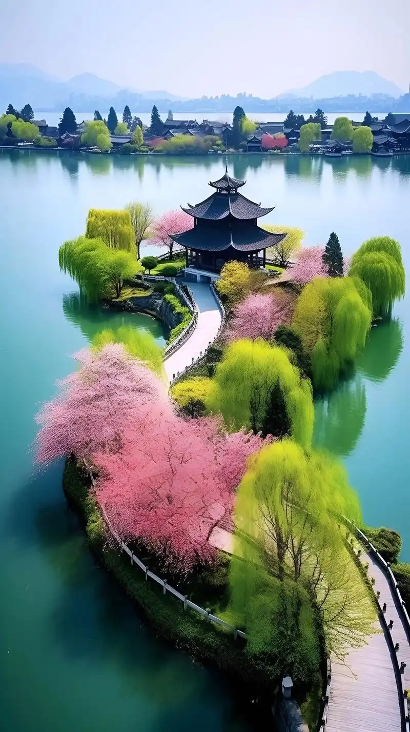 西湖美景.#杭州西湖的荷花开了 清晨荷塘里的荷花,粉红的花瓣 - 抖音