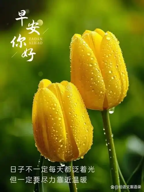 励志正能量早安语录要想人前显贵就要背后遭罪是人就要奋斗